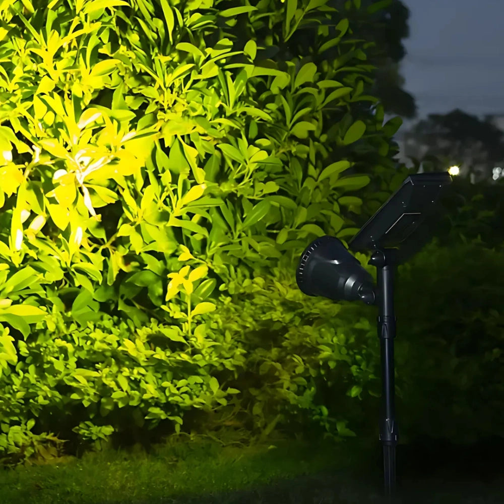 LumaBloom - Solar Garden Spotlight