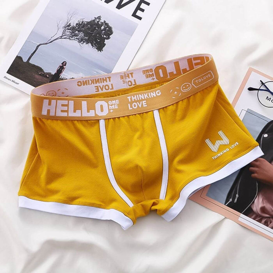 Gerwin - Waistband Comfortable Boxer Underwear